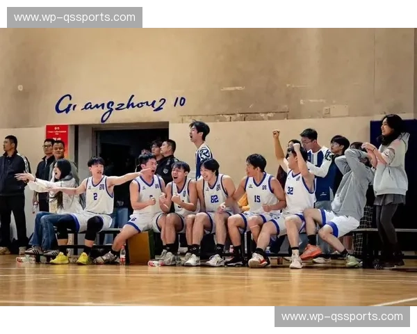 涅槃重生，王者之路：2016-17赛季辽宁男篮的史诗征程